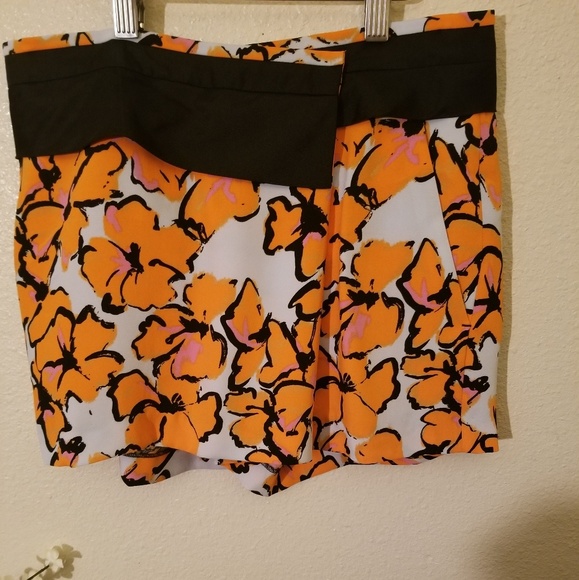 NWT Beautiful ALC Silk Shorts - Picture 4 of 8